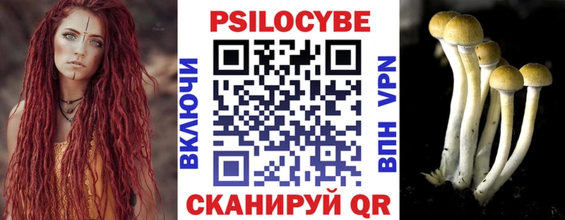 Псилоцибиновые грибы Psilocybe  купить наркоту  Цивильск 